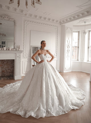 Lace Ball Gown Elmi